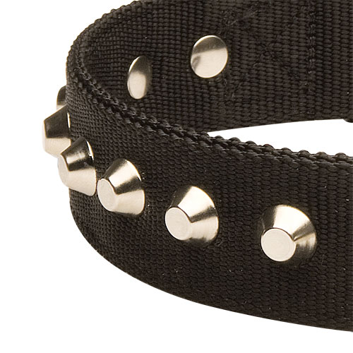 Hunde Halsband Nylon Exklusiv mit Pyramiden