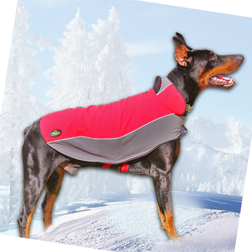 Hundemantel Nylon für Dobermann | Umhang mit Fleece ❋❋❋ - zum Schließen ins Bild klicken
