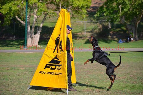 Schutz Hund Training Versteck - zum Schließen ins Bild klicken