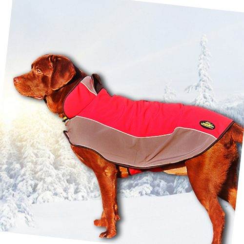 dog winter coat for Labrador