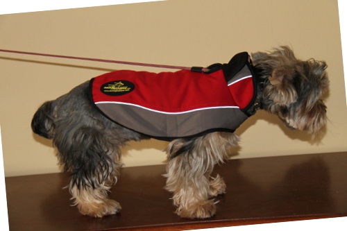 Yorkshire Terrier Hundebekleidung