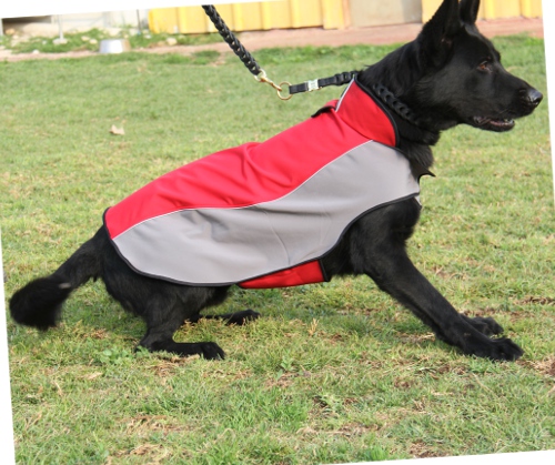 Hundekleidung fuer Deutsche Schaeferhunde