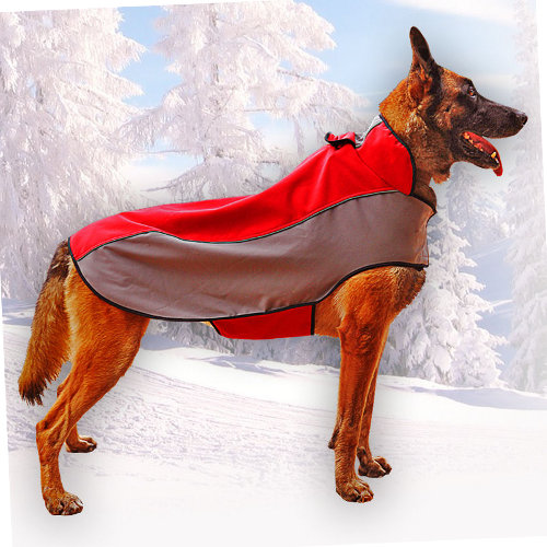 Malinois Hundebekleidung