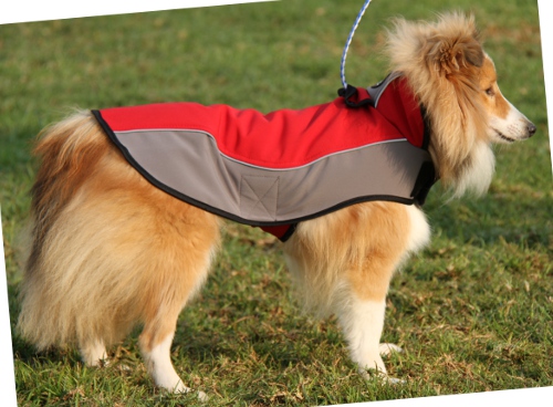 Hundebekleidung aus Nylon für Sheltie Winter