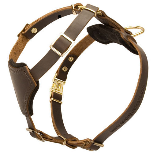 Leather dog harness for small dog breeds