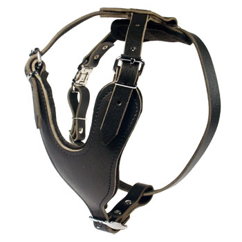 agitation leather harness