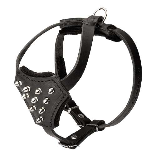 Leather Spiked dog harness for small dog breeds