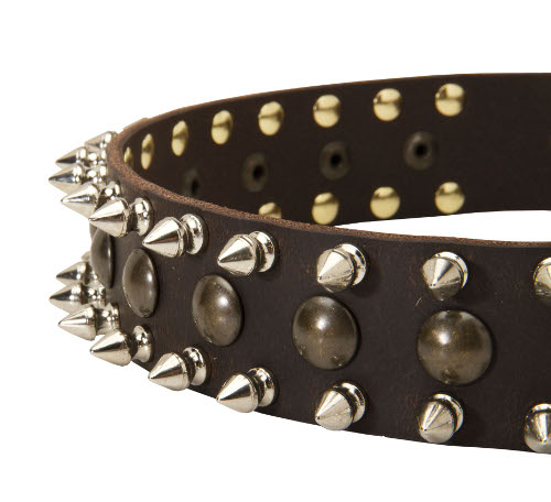 Pitbull Collar with Spikes
