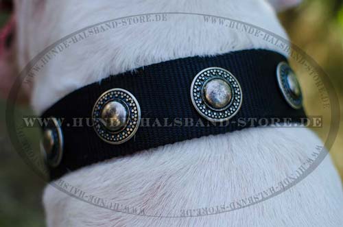 Hundehalsband aus Nylon mit Kreisen für Bullterrier
