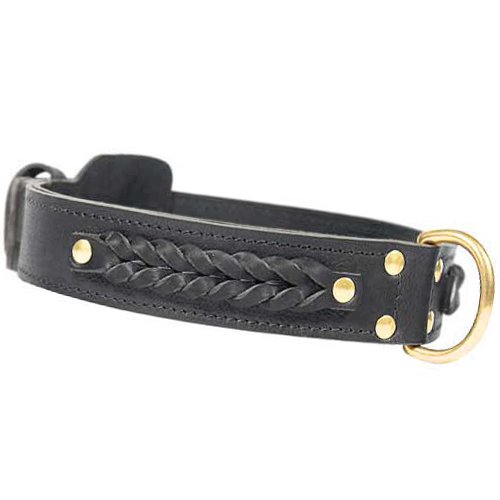 Braided Dog Collar Leather
