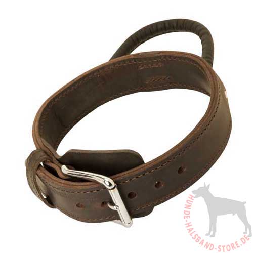 Leather Dog Collar with Handle 