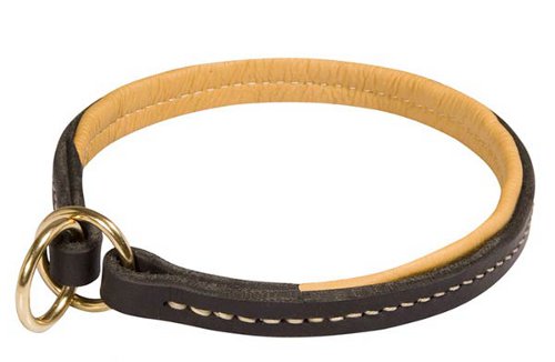 Choke Collar Leather, Padded Choke Collar