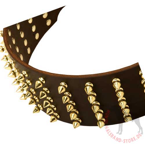 Leather Dog Collar with Golden Spikes 