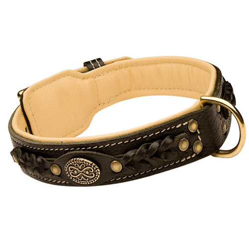 Braided Collar Leather