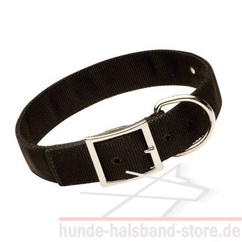 Hunde Halsband Nylon für Identifikation