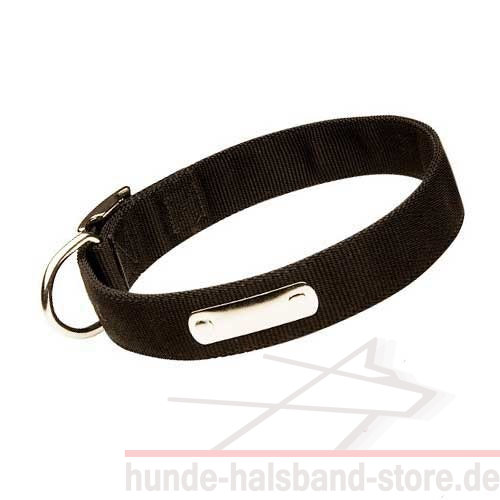 Hunde Halsband Nylon für Identifikation - zum Schließen ins Bild klicken