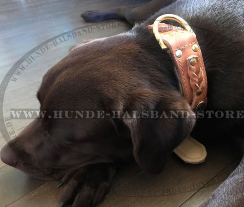 Modisches Lederhalsband mit geflochtenem Design für Labrador