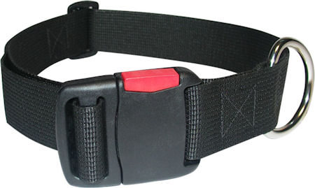 dog collar with patented clasp
