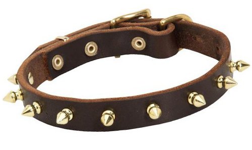 dog leather collar, spiked collar