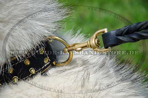 Hunde Halsband für Husky mit Spikes Design