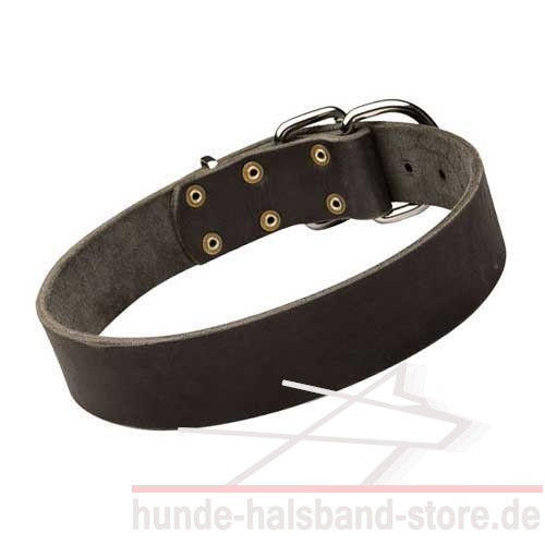 Hundehalsband aus Naturleder für jeden Tag