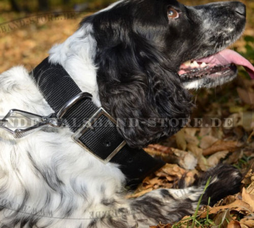 Klassisches Nylonhalsband für Spaniel - zum Schließen ins Bild klicken