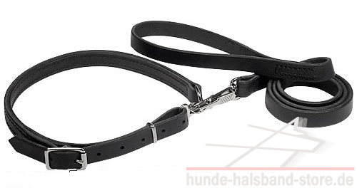 Polizei / Jagdhund Leine und Halsband (Combo)