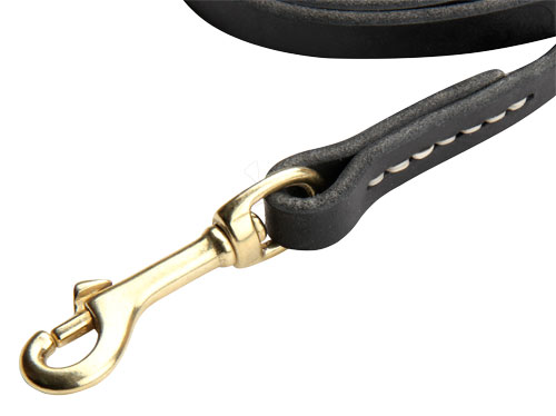 Leather Leash