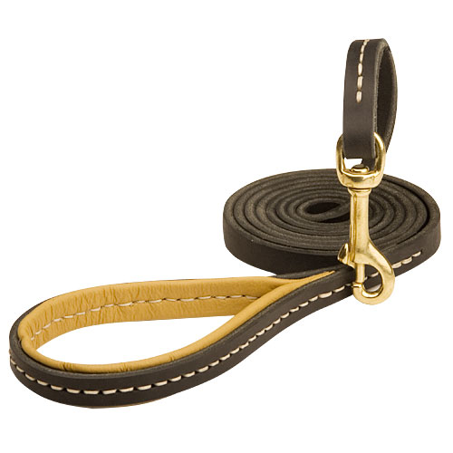 Leather Leash