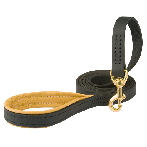 Leather dog leash