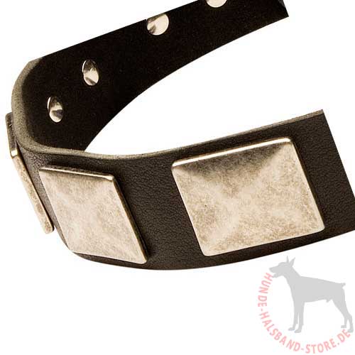 Leather Collar With Vintage Massive Plates for Large Dogs