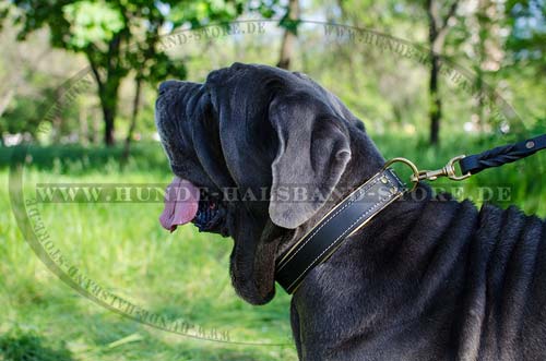 Mastino Napoletano Dog Leather Collar, Padded with Nappa