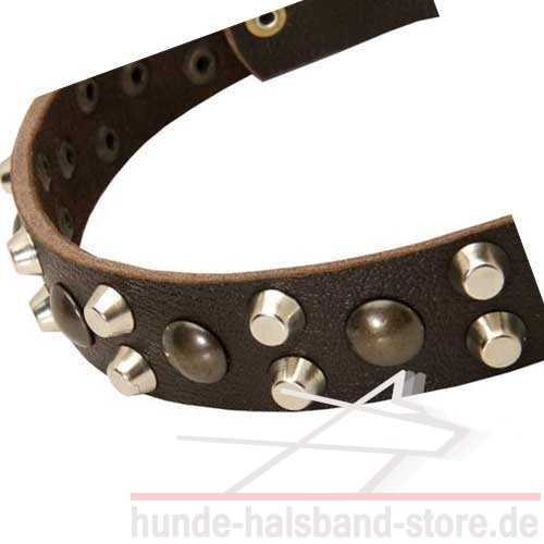 Leather Collar for Dogs with Studs and Pyramids 2013 