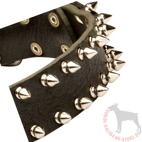 Nieten Halsband aus Leder für Hunde - zum Schließen ins Bild klicken