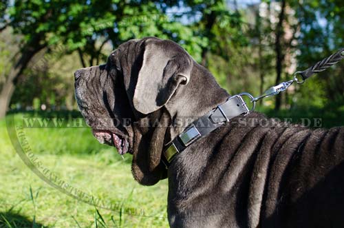 Design Halsband für Mastino Napoletano | Hundehalsband Leder❺