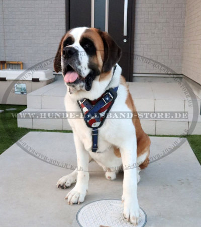 Bemaltes Hundegeschirr aus Leder für Bernhardiner - zum Schließen ins Bild klicken