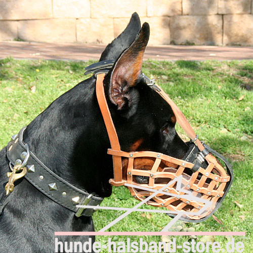 Ledermaulkorb von ForDogTrainer mit Stahlschiene