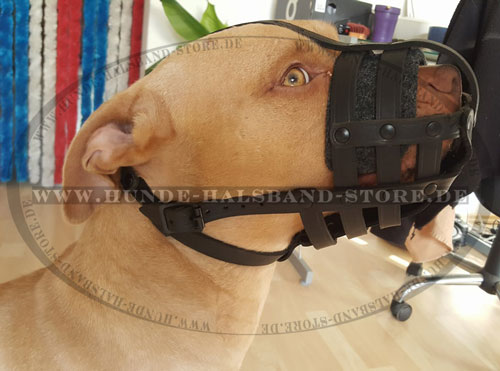 Belüfteter Hundemaulkorb aus Leder für Pitbull