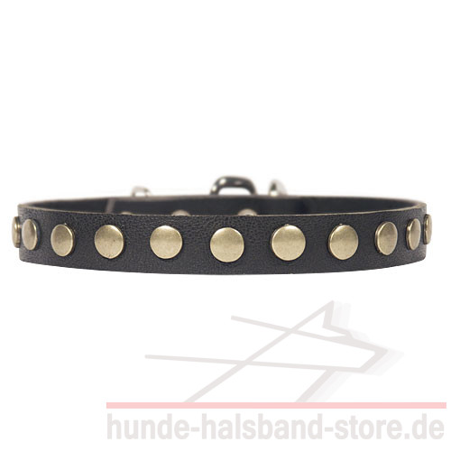 Attraktives Halsband aus Leder mit kleinen Kreisen