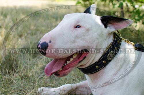 Geflochtenes Lederhalsband mit Polsterung für Bullterrier