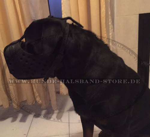 Hundemaulkorb aus Leder "Dondi plus" für Rottweiler - zum Schließen ins Bild klicken