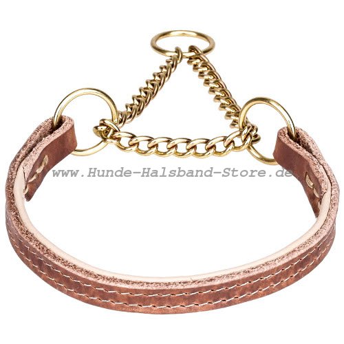 Erziehungshalsband aus Leder mit goldener Kette