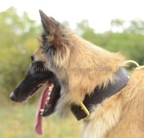 Tervueren Lederhalsband k9 - zum Schließen ins Bild klicken