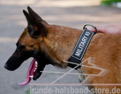 Logohalsband aus Nylon für Hunde