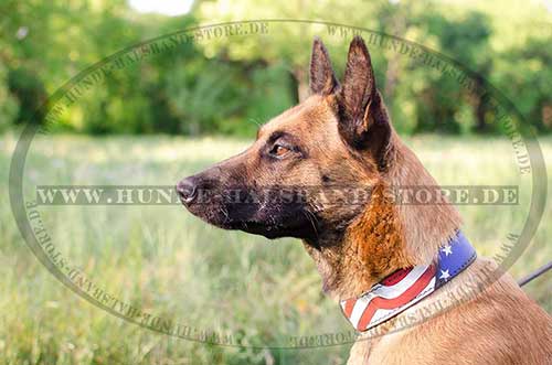 Hundehalsband Leder mit Bemalung - zum Schließen ins Bild klicken