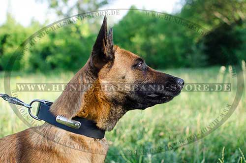 Malinois Hunde Halsband mit ID-Tag 