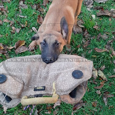 Jute Beißkeil für Malinois Training - zum Schließen ins Bild klicken