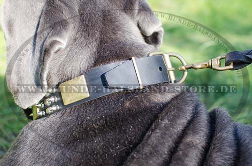 Design Halsband Leder Mit Metallverzierungen Für Mastino Neapoletano