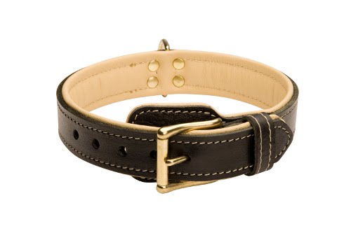 leather collar for dog