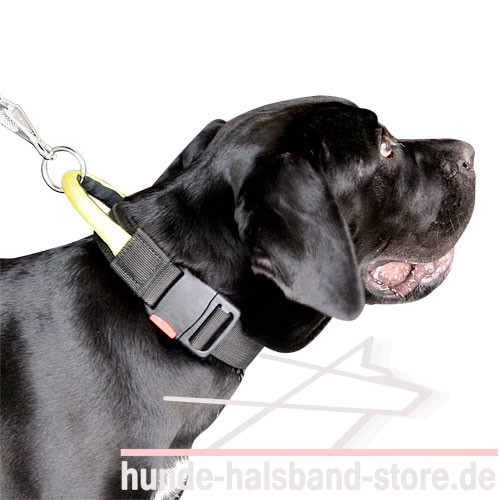 Nylon Hundehalsband mit Verschluss und dem Griff